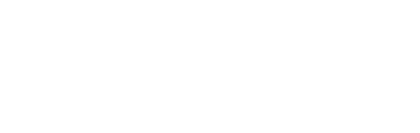 Wordmark — white preview